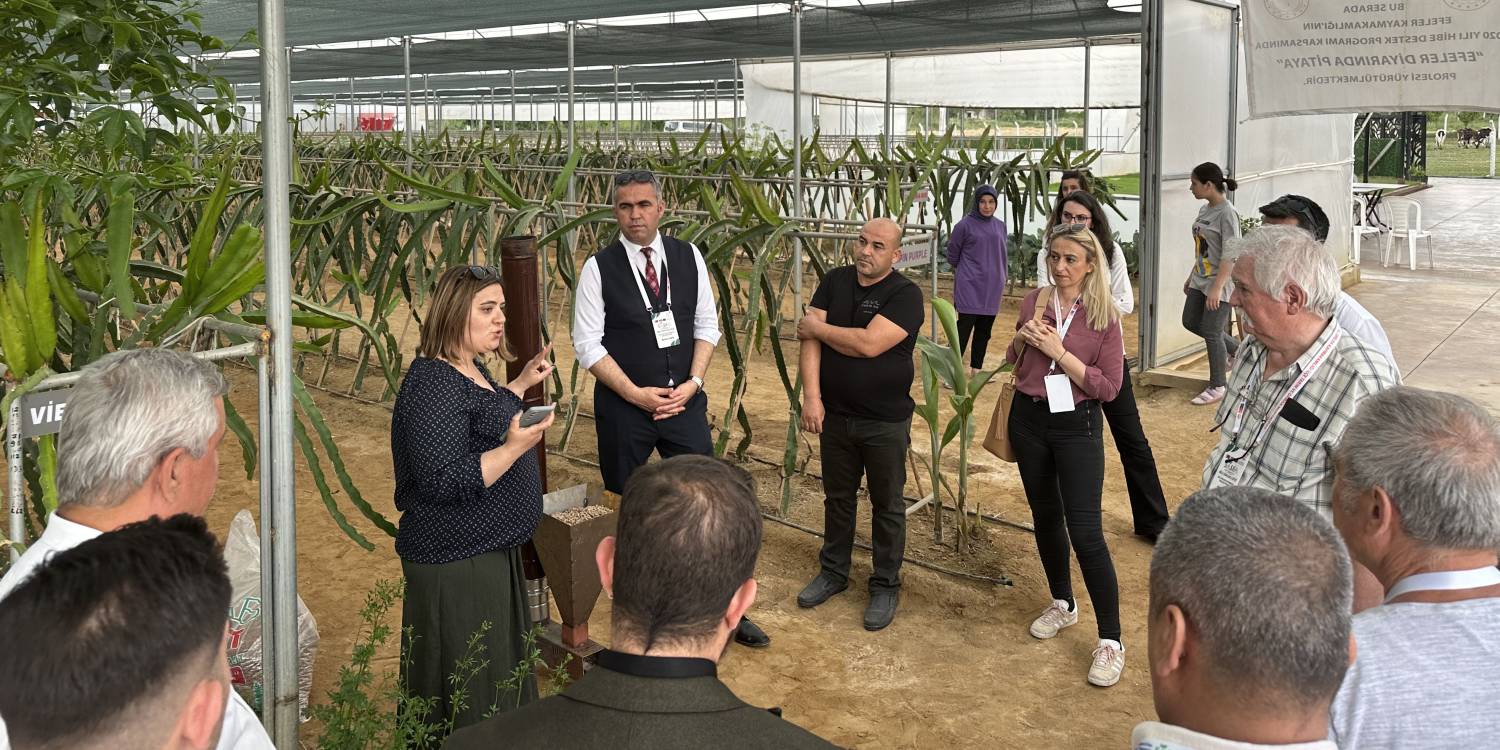 SASFA Proje 0rtakları Sahada