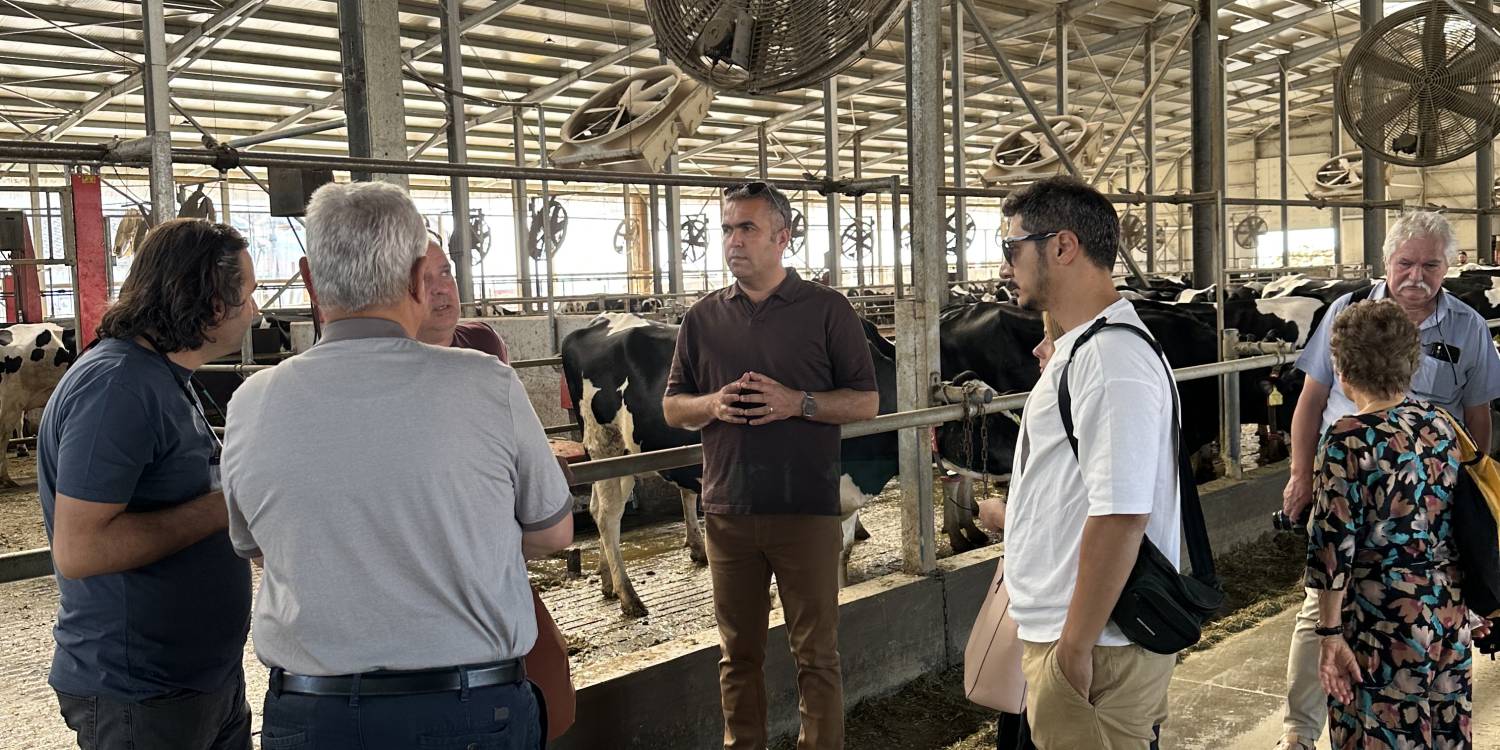 SASFA Proje Ortakları Macaristan'da