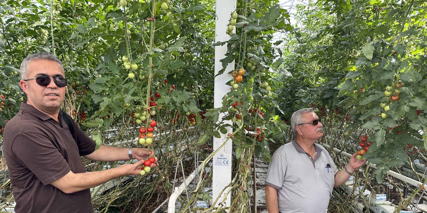 Agro-Fol Seralarındaki Uygulamalar Görüldü