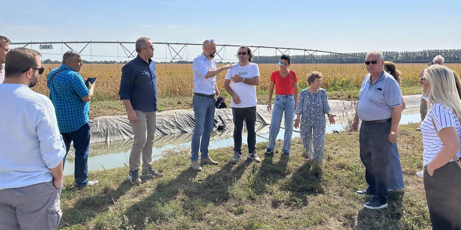250 Yıllık Kurum National Stud Estate'ye Ziyaret